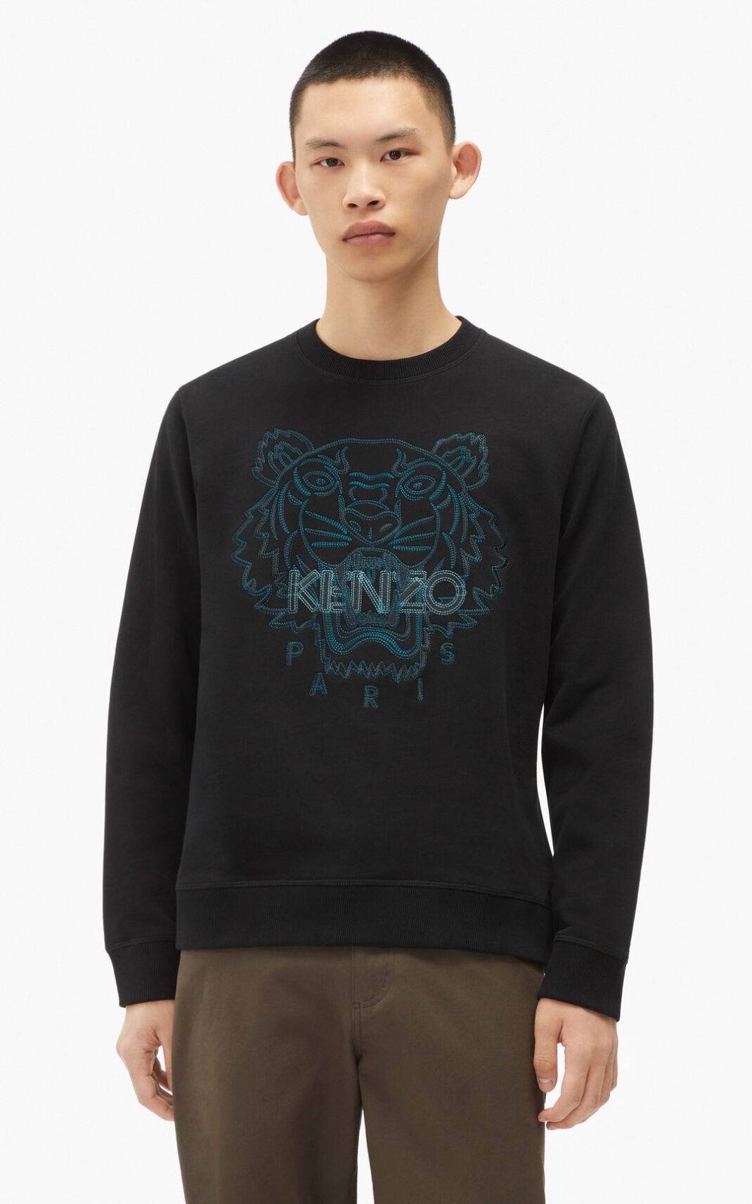 Kenzo Tiger Sweatshirt Erkek Siyah | 1874-MBSVO